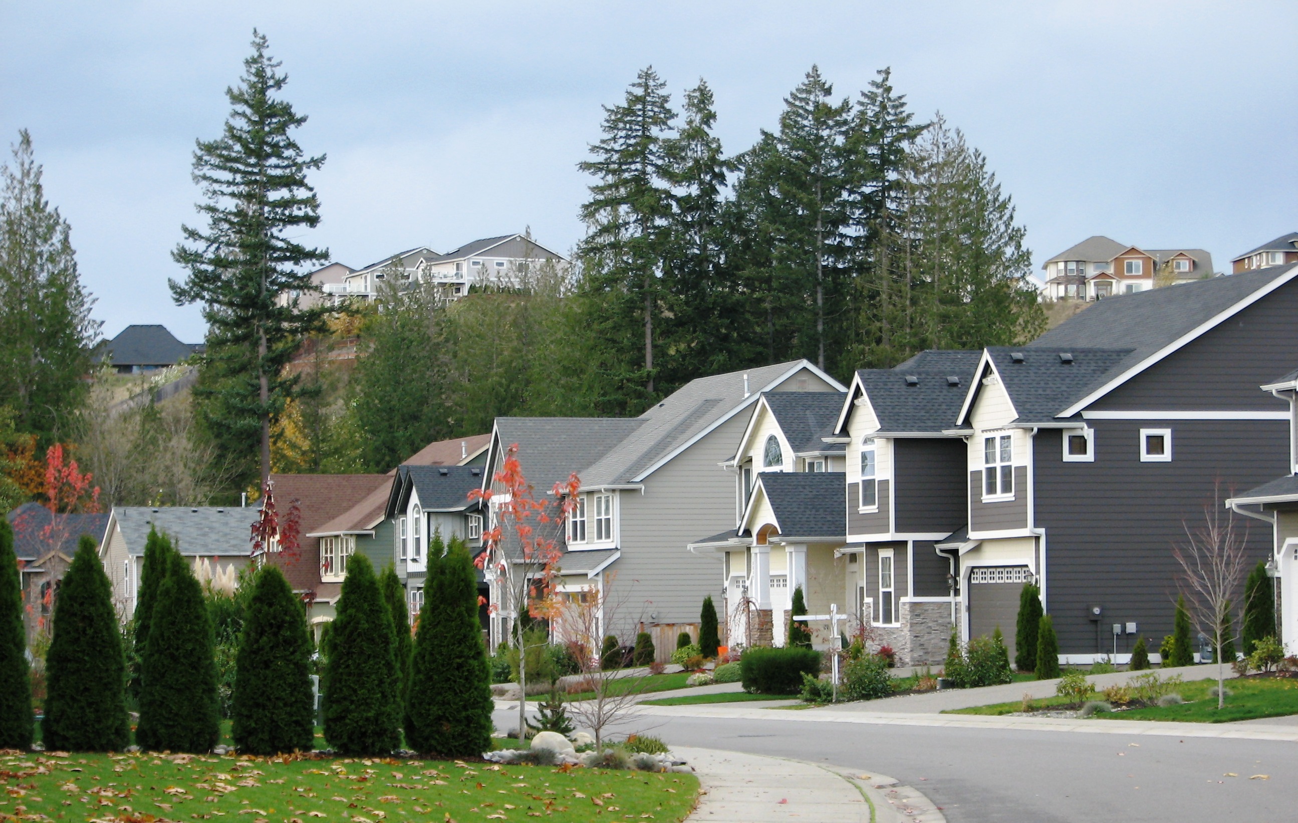 Beautiful HOA-managed community